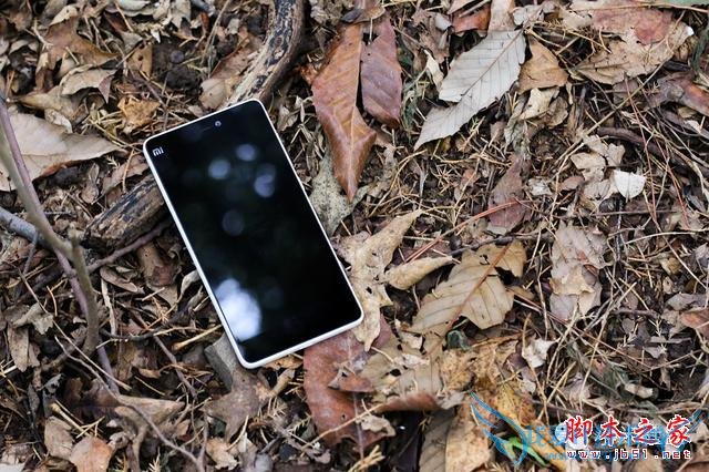 终端手机小米的全面介绍及定义