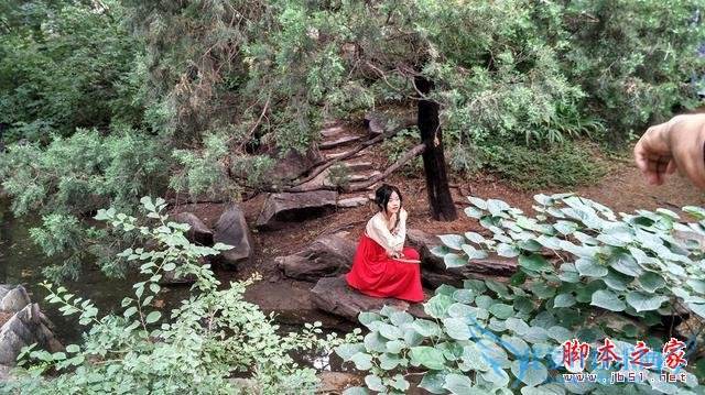 终端手机小米的全面介绍及定义