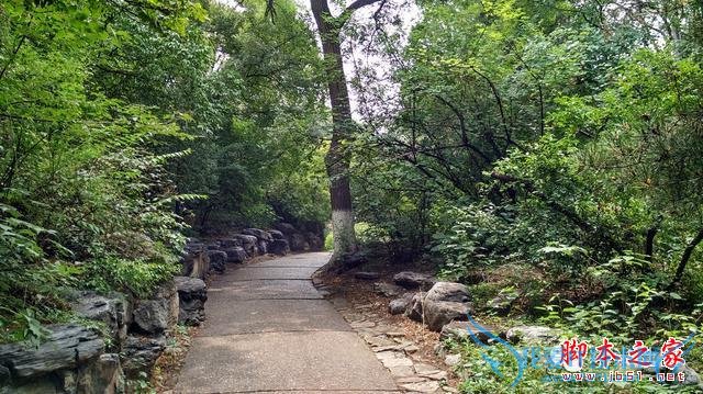 终端手机小米的全面介绍及定义