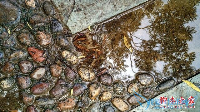 终端手机小米的全面介绍及定义