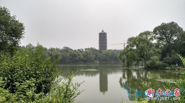 终端手机小米的全面介绍及定义