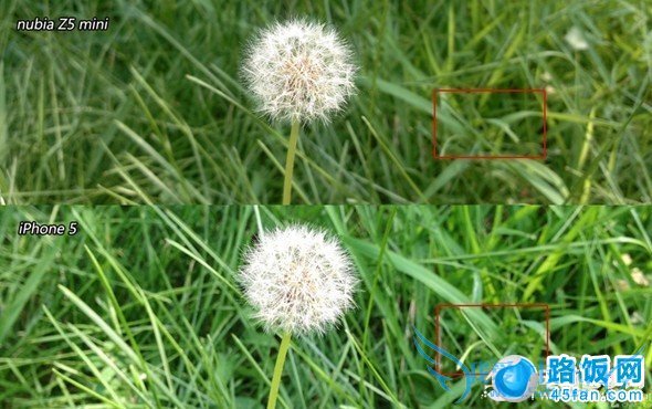 ŬZ5 MiniiPhone5΢ŶԱ 