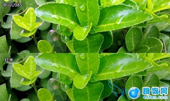 中兴U985与红米手机微距离拍照对比图
