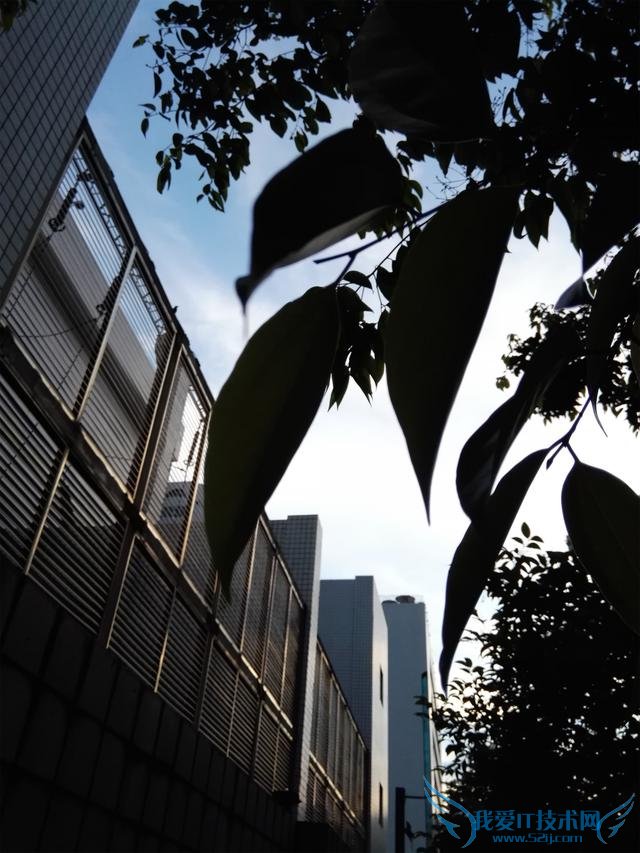 荣耀X2平板手机如何拍出好照片?荣耀X2手机拍照分享