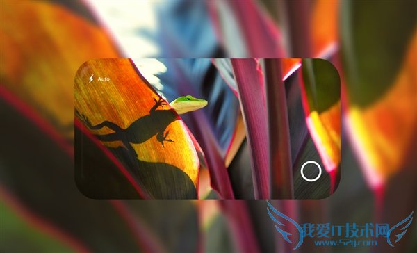 Wind11 Mobile 手机的全面介绍