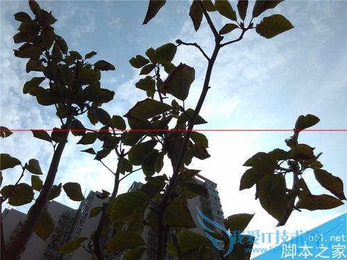 ҫ4A2ƽʿA8桢2Aʲô֮ͬ