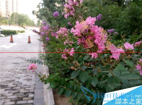 ҫ4A2ƽʿA8桢2Aʲô֮ͬ