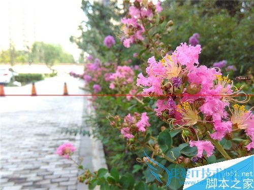 ҫ4A2ƽʿA8桢2Aʲô֮ͬ