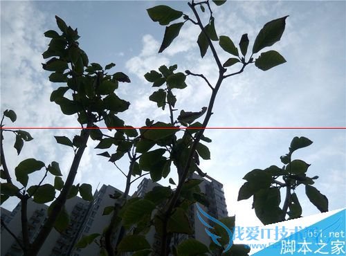 ҫ4A2ƽʿA8桢2Aʲô֮ͬ