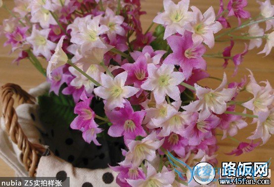 努比亚Nubia Z5拍照样张