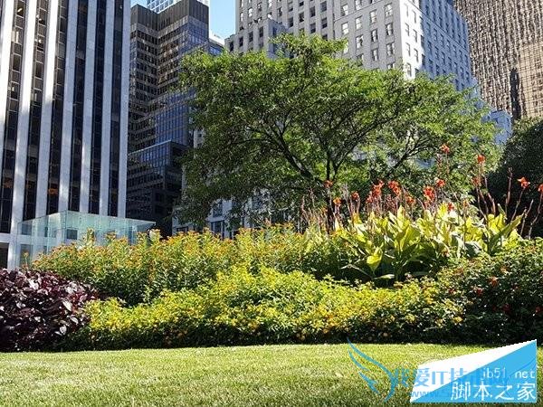 iPhone6s PlusS6 Edge+ĸظӵĺã