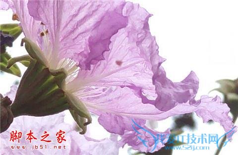 努比亚Z9手机在长期使用下的评价