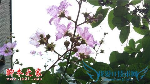 努比亚Z9手机在长期使用下的评价