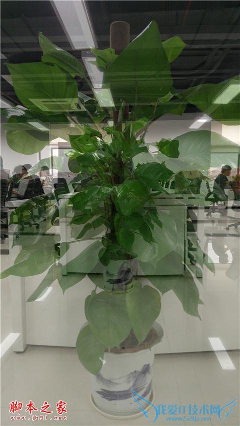 努比亚Z9手机在长期使用下的评价