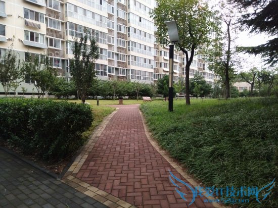 中兴威武3青春版图文版的详细介绍