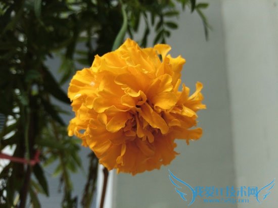 中兴威武3青春版图文版的详细介绍