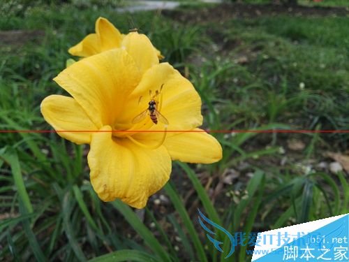 华为麦芒4全方位的详细评测