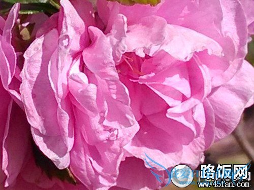 1300万像素F2.2光圈 32GB版小米2S评测