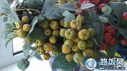 1300万像素F2.2光圈 32GB版小米2S评测