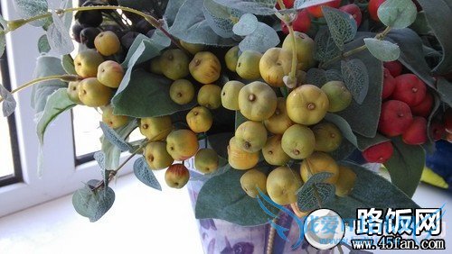 1300万像素F2.2光圈 32GB版小米2S评测