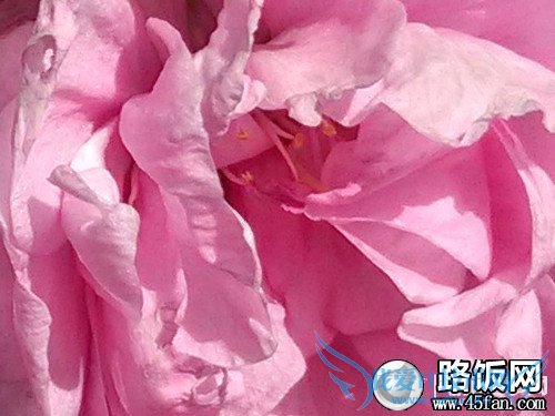 1300万像素F2.2光圈 32GB版小米2S评测