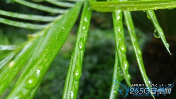 һLG G4ϸƵ˽LG G4ֻ