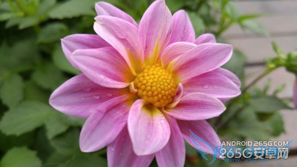 һLG G4ϸƵ˽LG G4ֻ