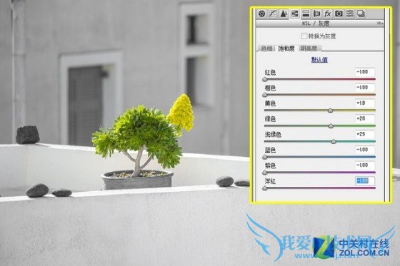 如何使用Photoshop软件进行后期修饰照片?
