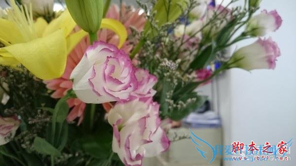 索尼XperiaZ3+手机性能的全面对比