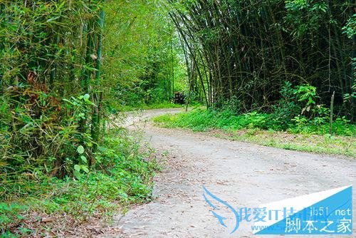 用单反摄影构图的技巧有哪些?