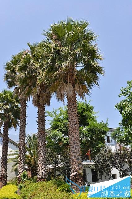 用单反摄影构图的技巧有哪些?