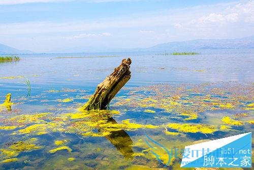 用单反摄影构图的技巧有哪些?
