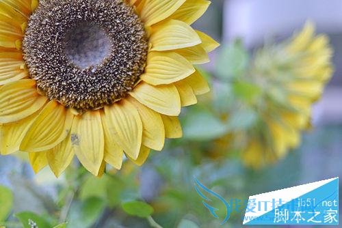 用单反摄影构图的技巧有哪些?