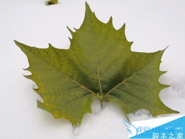 华为Mate8的性能的详细介绍及评测