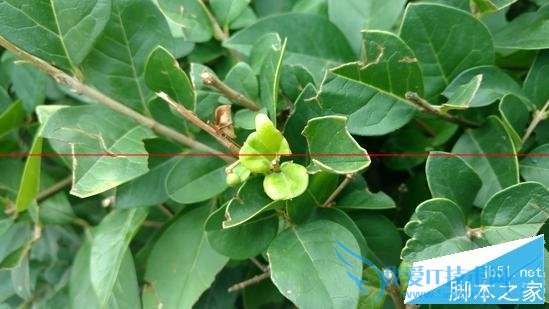 摩托MOTO X Style手机性能的全面性评测