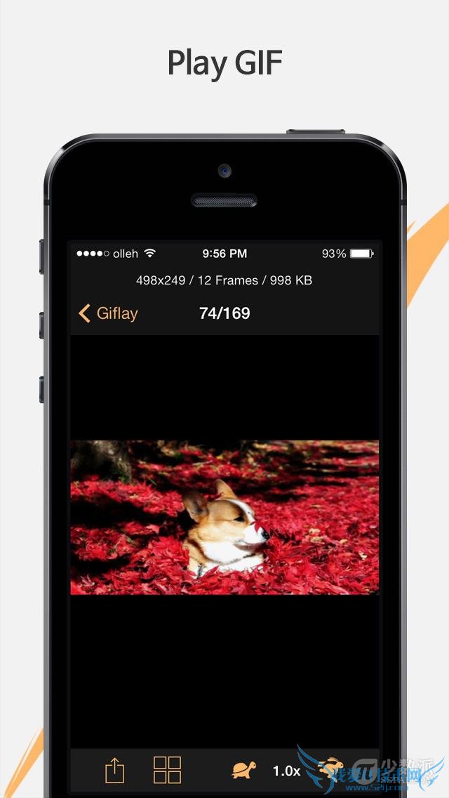 ƻiOSͨGiflay鿴GIFͼķ