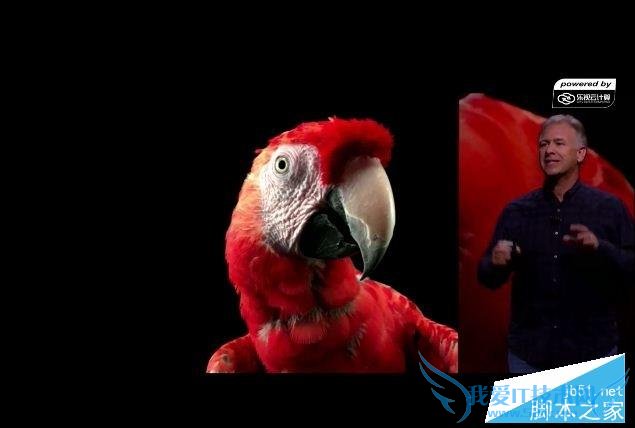 苹果iPhone6s/plus手机的图文解析