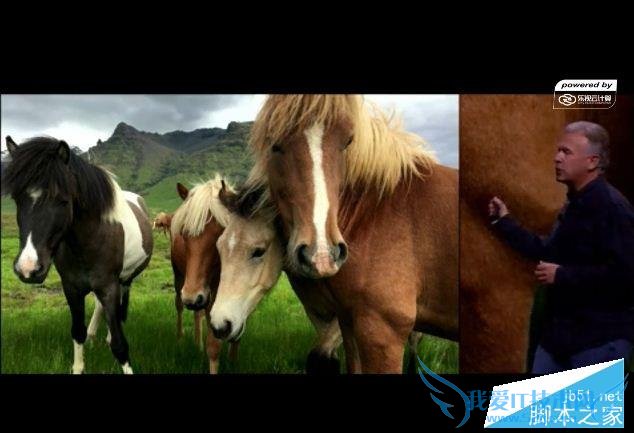 苹果iPhone6s/plus手机的图文解析