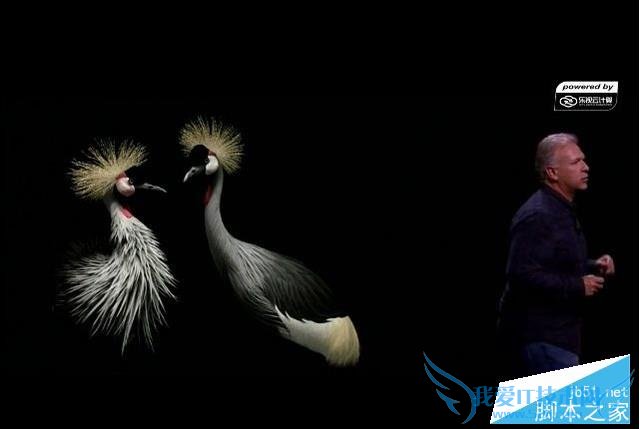 苹果iPhone6s/plus手机的图文解析