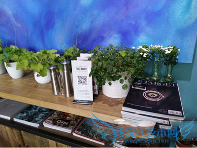 文艺和美感的手机!努比亚my布拉格评测