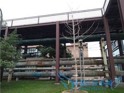 文艺和美感的手机!努比亚my布拉格评测