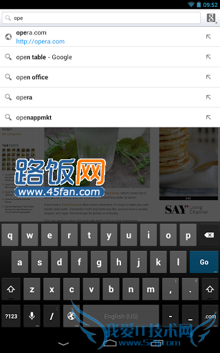 WebKit Opera for Androidʽ淢