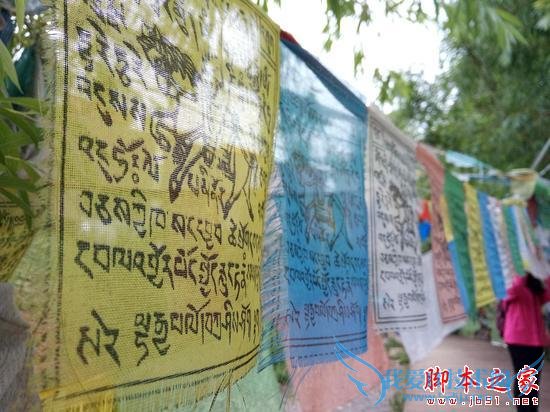 OPPO R7s和OPPO R7 Plus之间的区别