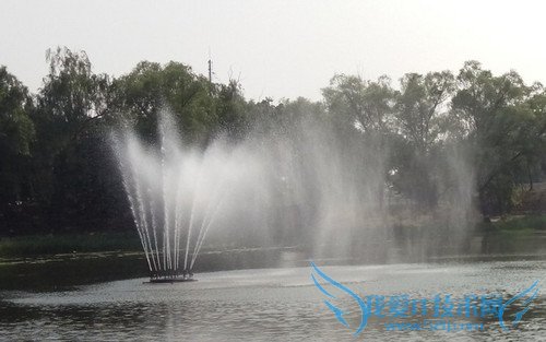 OPPO R7手机拍照效果好不好?