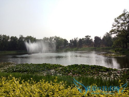 OPPO R7手机拍照效果好不好?