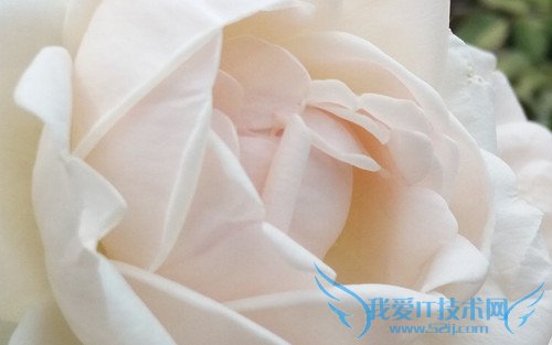 OPPO R7手机拍照效果好不好?