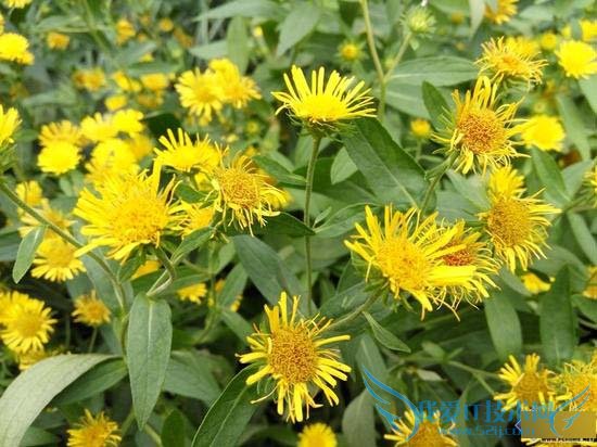 红米Note2高配版手机的全性能评测