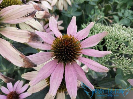 红米Note2高配版手机的全性能评测