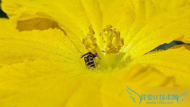 S6 edge˵S6 Edge+Щ仯