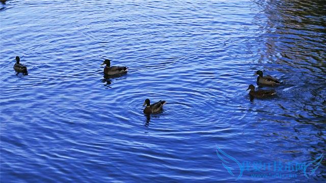 Intel Atom Z3580 64λĺĴĻ˶ZenFone 2Σ